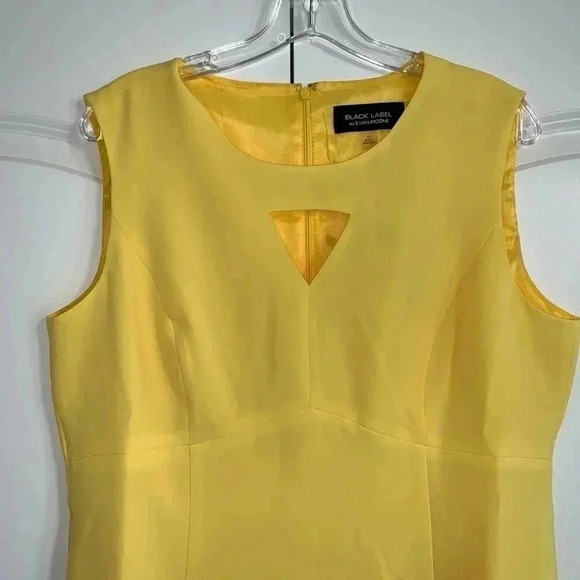 Black Label by Evan-Picone Sleeveless Sheath Dress - Picture 4 of 11